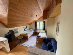 Großräumiges 2-Zimmer Apartment mit Küche und Bad